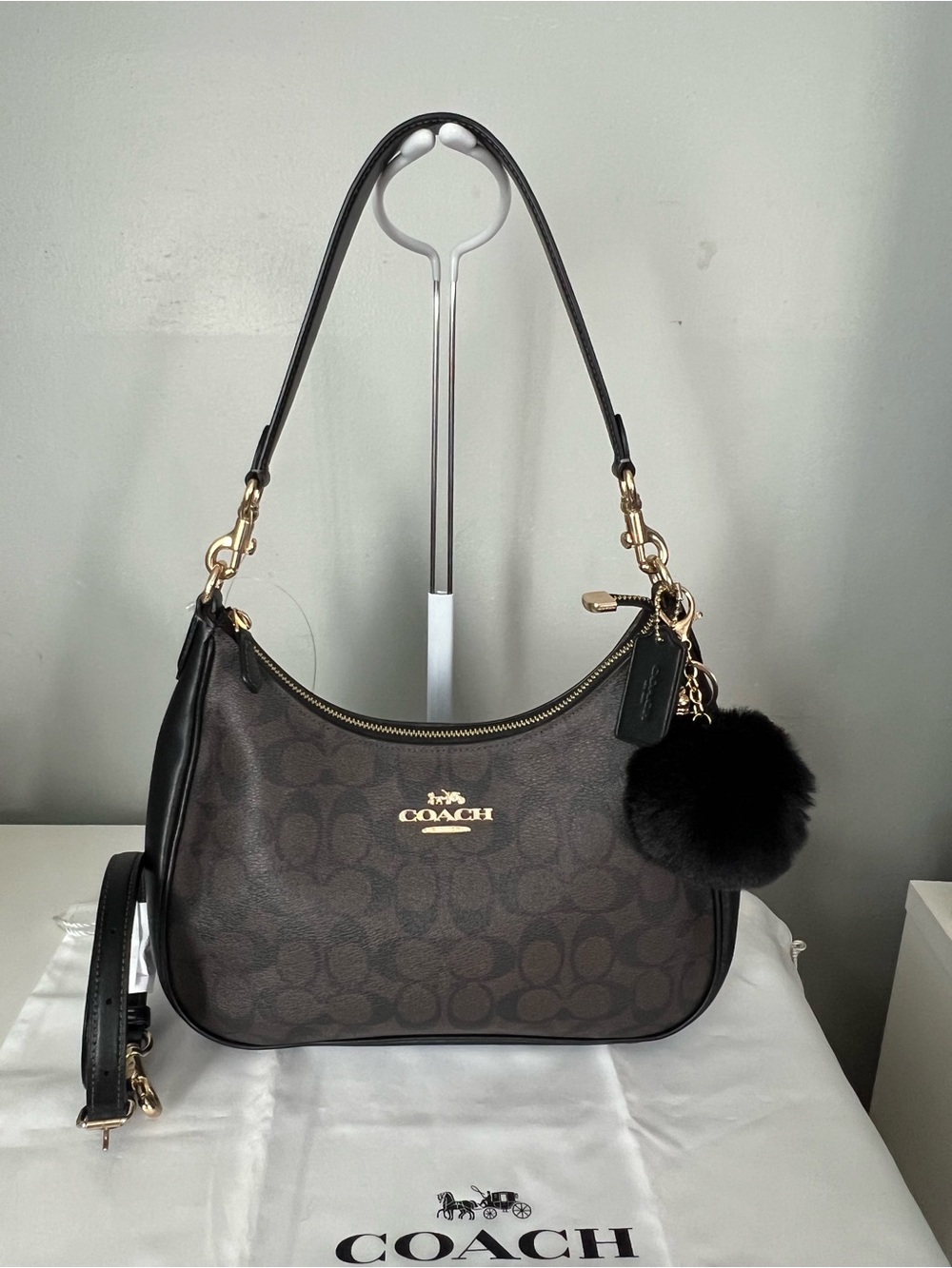 Coach Teri Hobo Bag In Signature Canvas